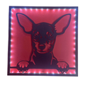 Lampe murale LED chien personnalisée,Tableau lumineux décoratif.