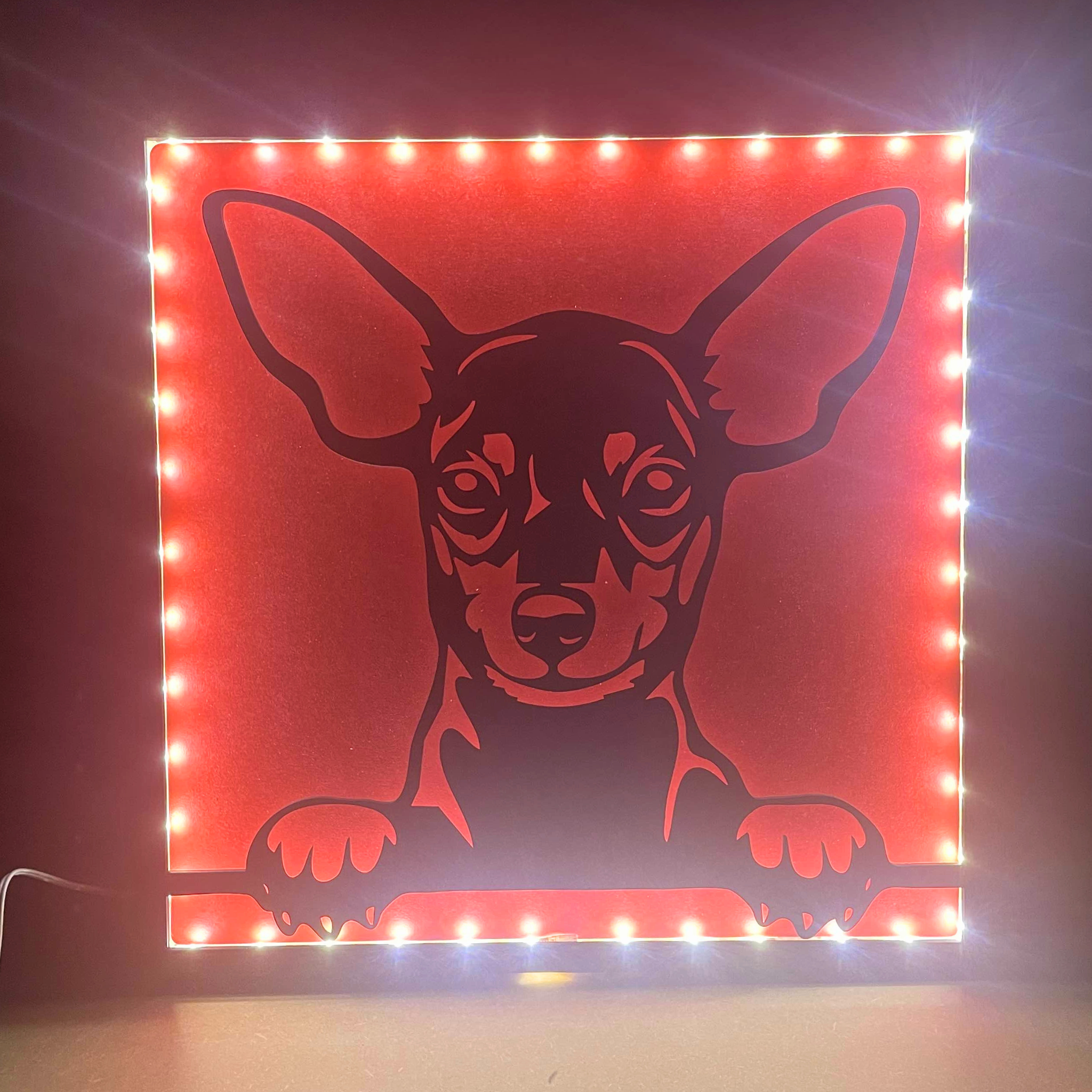 Différentes tailles disponibles pour la lampe LED chien