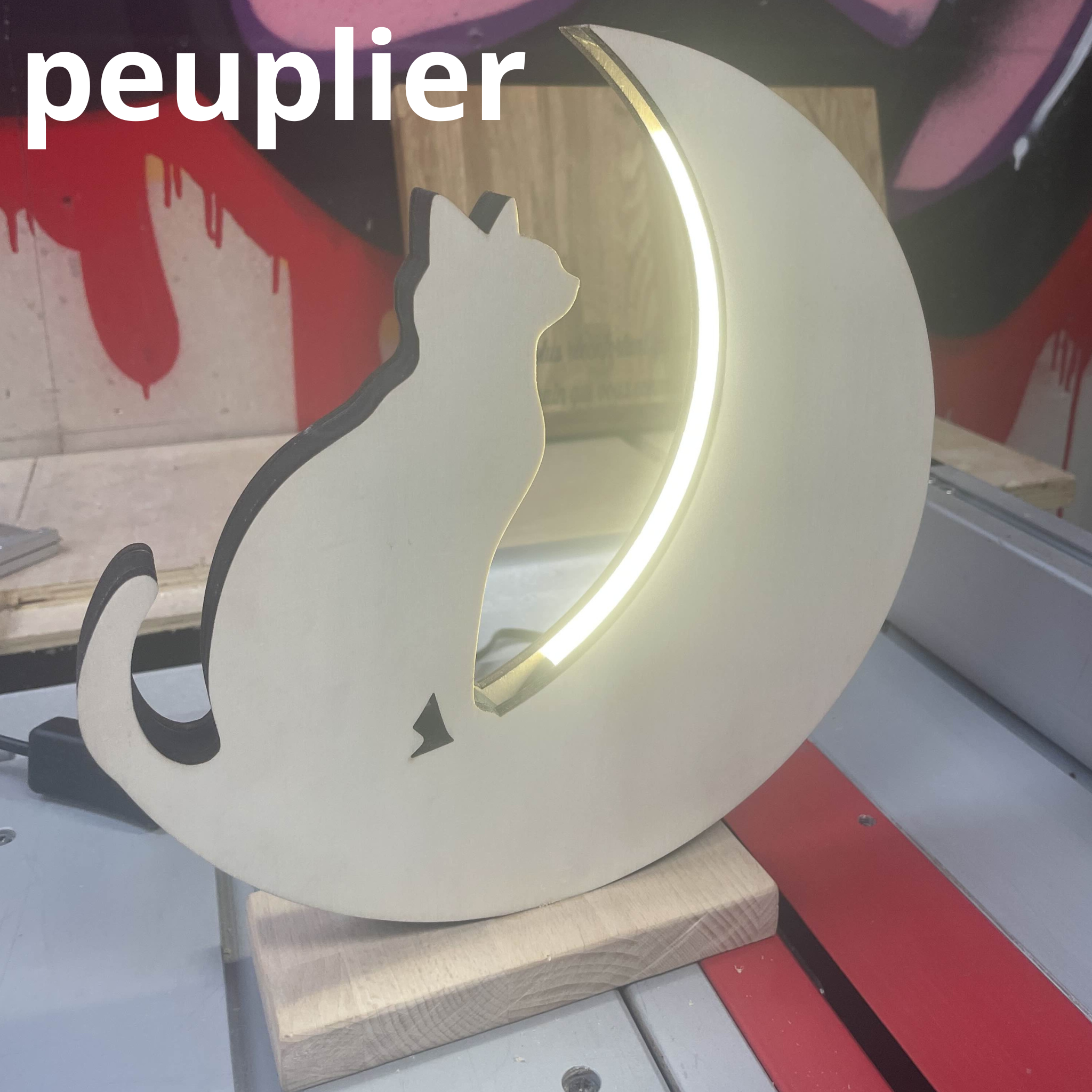 Lampe chat en bois personnalisable. 